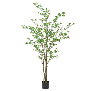 lHϗtA@@tFCNO[@@hE_ccW1.9mysz