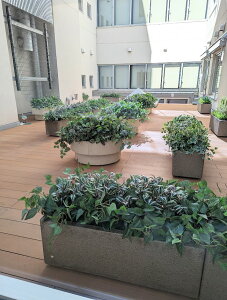 lHϗtA@OgpO[@O[ubV@UVJbgHO[Fh@vuO[@y4肨Iщz2{ȏゲw͑