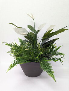 lHϗtA@tFCNO[@~bNXO[v^[@@2肨Iщ@XpVtB@ԃA\[