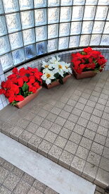 造花　ポインセチアプランター3点セット　送料無料　クリスマス装飾