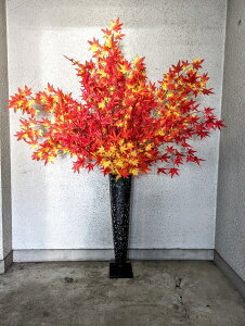 ԁ@~WX^h@170cm@^@@H@@fCXvC@݂@݂X^h@170cm@@^@Xܑ@IV@A[eBV@͂Ȃ@H@