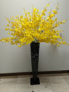 ԁ@IVW[AW@AW@Mtg@Vzj@ze@@IVW[@ԁ@邢@͂Ȃ@@@A[eBVt[@Y@