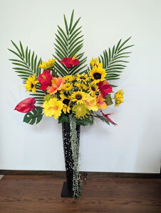  nCrXJX X^ht[, Ă̓X܃fBXvCp, JXj Wꑕ