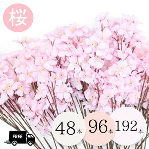 12܂ o    ܂Ƃߔ   Iׂ 48{ 96{ 192{ S54cm  Ή t  yL @X܃fBXvC@JtF@W@Ǝ{݁@AW