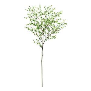 ԁ@tFCNO[@hE_ccW@CeA@