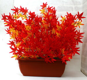  CeA v^[  ~W~Wԃ~Wv^[2980