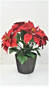 yԁzy|CZ`A|bgzyNX}Xzy2F肨Iщzyz