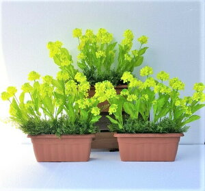 tFCNO[ lHϗtA yimniv^[3_Zbgzy܂Ƃ߂Ăzyԁzʔ\ł@t