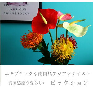  sNbV lHϗtA A[eBtBVt[ ԍ t[AWg fBXvC  gsJ 썑[h ][gԁ@CeAO[@ERXy