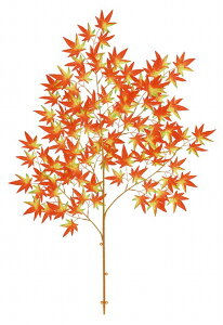 ԁ@H@~W@ԁ@H@~W@fCXvC@݂@݂@@@^@Xܑ@IV@A[eBV@͂Ȃ@H@ԁ@Pi@H@ꂢ@