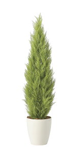 lHϗtA@tFCNO[@S[hNXg1.2m@@