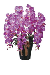 tFCNO[ ϗtA tFCN lHϗtA G}  CeA A  j    lC C  rO ItBX  Vv R L ϗt C