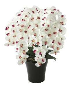 tFCNO[ ϗtA tFCN lHϗtA G}  CeA A  j    lC C  rO ItBX  Vv R L ϗt v