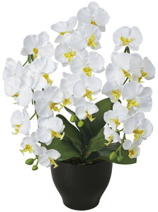 tFCNO[ ϗtA tFCN lHϗtA G}  CeA A  j    lC C  rO ItBX  Vv R L ϗt 