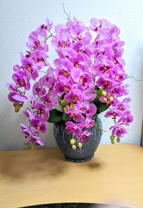  fbNXӒ 6{tӒ G}H  ԌӒ Ӓ ACj   蕨 a z JXj J ړ] җ Mtg t[Mtg