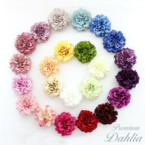 _A  p[c  22F nhCh ԍ Ԍo9cm asca i 