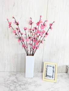 ԁ@ỷԁz6{g@ߋ@t@Cxg@j