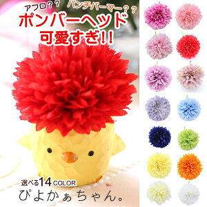 ̓ 蕨   lC s N qR  A[eBtBV  Iׂ14COLOR 14FWJ W߂Ȃ 3_Zbg 14F肨IщB