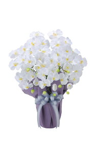 ԁ@ԁ@䋟AW@~@ފ݁@d@G}Hi@