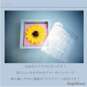 蕨  Ό  oXt[  Mtg  Όt[ ԂЂ܂ Y ԕ Ό t Ђ܂ \[vt[ ʒ\ ̓ Mtg hV̓ LO  bs