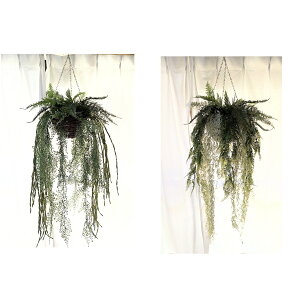 lHϗtA nMOO[ G}Hi 2肨Iщ 