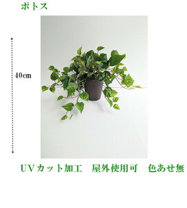 lHϗtA@OgpO[@O[v^[@UVJbgHO[Fh@vuO[@y6肨Iщz