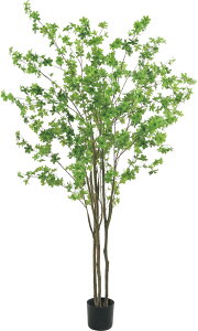 lHϗtA@tFCNO[@hE_ccW2.1m@^O[