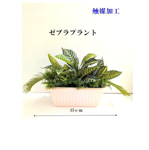 lHϗtA O[v^[ G}Hi ʎ󒍉\ 4肨Iщ 