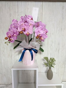  䋟AW Ӓ|bg ԃAW G}H 