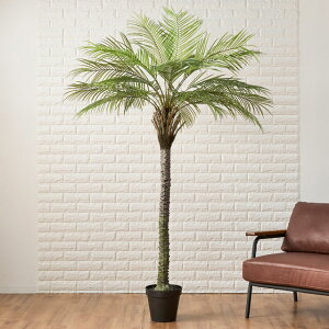 lHϗtA@tFjbNX2m@^O[@fXvC@o@