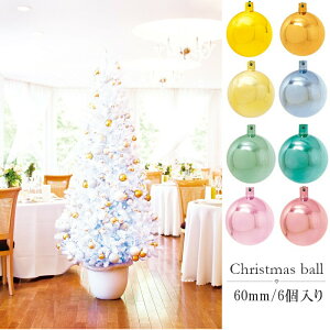 NX}X I[ig {[ c[  8F 60mm 6 A[XJ[