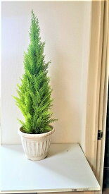 楽天市場 人工観葉植物 種類 植物 ゴールドクレスト 造花 人工観葉植物 花 観葉植物 花 ガーデン Diyの通販