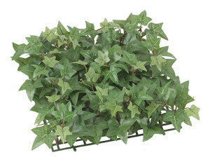 CObVACr[K[f}bg@}bg@O[@i`@JtF@fBXvC@X܃fBXvC@Ǝ{݁@ʒ@yʁ@DIY@x_@O[@ԁ@