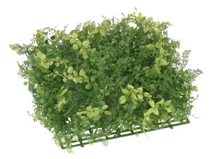 EH[O[}bg OΉ 35×35 Iׂ AWA^~bNX[t [JX~bNX[t@{bNXEbh[t@vX`bN