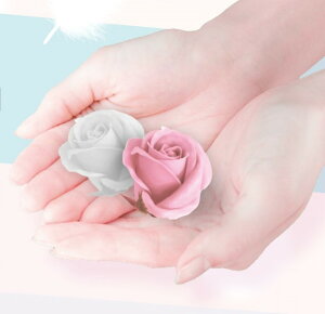 \[vt[@~j[Y\[vt[@2F肨Iщ@