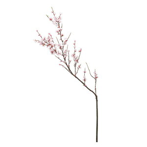 ԁ@@}@@s@@@͂Ȃ@fBXvC@@X܃fBXvC @ CeAfBXvC G o  CeAfBXvC G o  