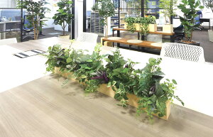 O[fCXvC@ԃO[@{HƎҗlO[@O[ubV@5肨Iщ