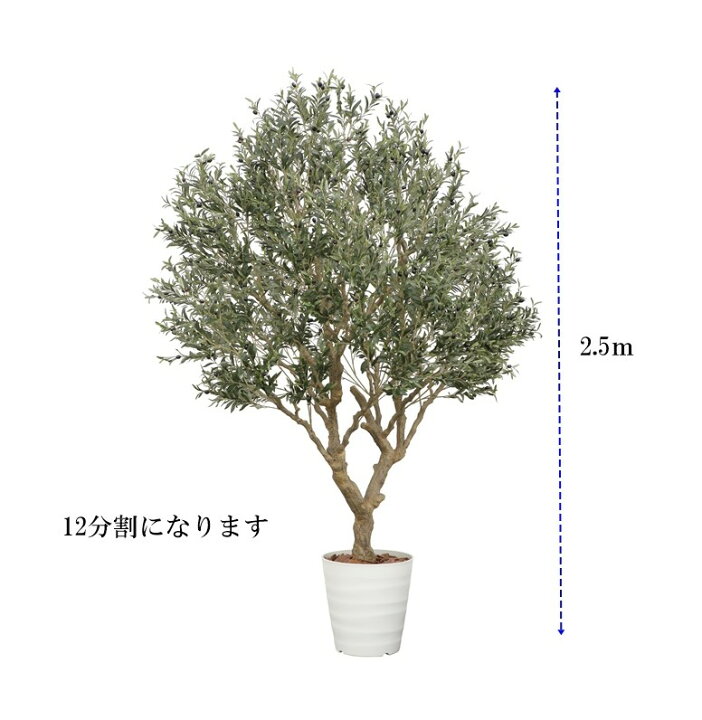 楽天市場】人工観葉植物 フェイクグリーン 【光触媒】 デラックス