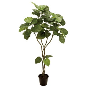 tFCNO[@lHϗtA@Ex[^1.5m@O[@͂Ȃ@IV@JtF@JtFfBXvC@fBXvC@lHϗtA@ȒP@^@@JXj@X