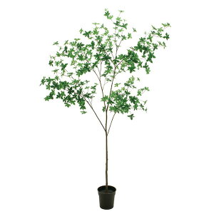 tFCNO[@lHϗtA@hE_ccW|bg1.8m@@@@CeAO[@O[@͂Ȃ@fBXvC@lHϗtA@ȒP@JXj@