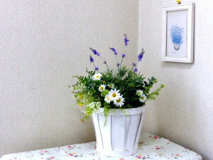 ����������L�E�h�ہE�h�J�r�E�R�E�C���X�I�@���x���_�[�o�X�P�b�g?�����ȓ��Xudd�G�}���H�ς݁@���ÁE�ꏊ��I�΂��@���ʂ𔭊��q�@�d�C��Ȃ��̋�C����@��������5400�~5000��?�������b