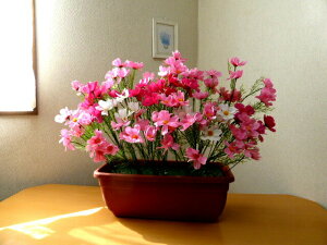 yVLO1 RXX v^[ 10Zbg AWg  v 40cm 50cm s15cm ܂Ƃߔ  ̎ Ή ʒ \ ꕔnʓrz 