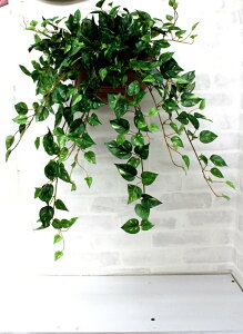 ylHϗtAzy|gXǓqzyG}HzyzytFCNO[z