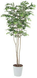 tFCNO[ ϗtA tFCN lHϗtA G}  CeA A  j    lC C  rO ItBX  Vv R L ϗt }E