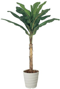 tFCNO[ ϗtA tFCN lHϗtA G}  CeA A  j    lC C  rO ItBX  Vv R L ϗt oi