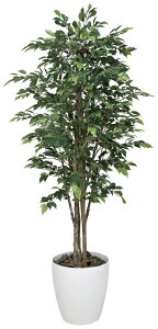 tFCNO[ ϗtA tFCN lHϗtA G}  CeA A  j    lC C  rO ItBX  Vv R L ϗt C