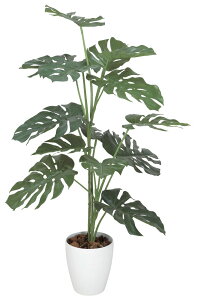 tFCNO[ ϗtA tFCN lHϗtA G}  CeA A  j    lC C  rO ItBX  Vv R L ϗt 