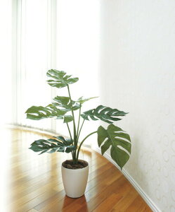 tFCNO[ ϗtA tFCN lHϗtA G}  CeA A  j    lC C  rO ItBX  Vv R L ϗt 