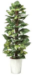 tFCNO[ ϗtA tFCN lHϗtA G}  CeA A  j    lC C  rO ItBX  Vv R L ϗt |g