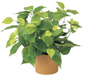 tFCNO[ ϗtA tFCN lHϗtA G}  CeA A  j    lC C  rO ItBX  Vv R L ϗt C